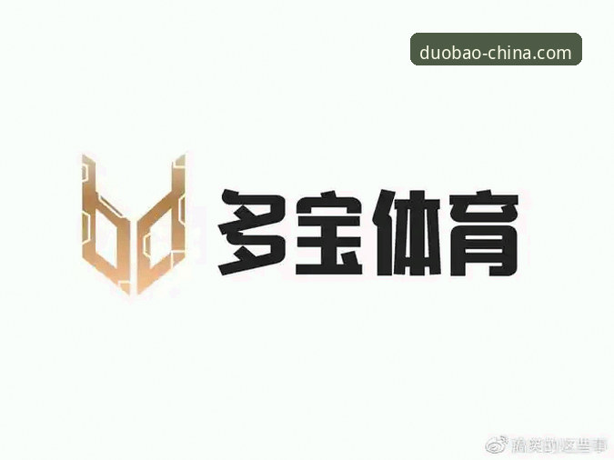 多宝体育平台下载必备实用指南：从安装到赛事观看的全流程解析